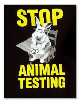 animal cruelty testing. animal testing -after